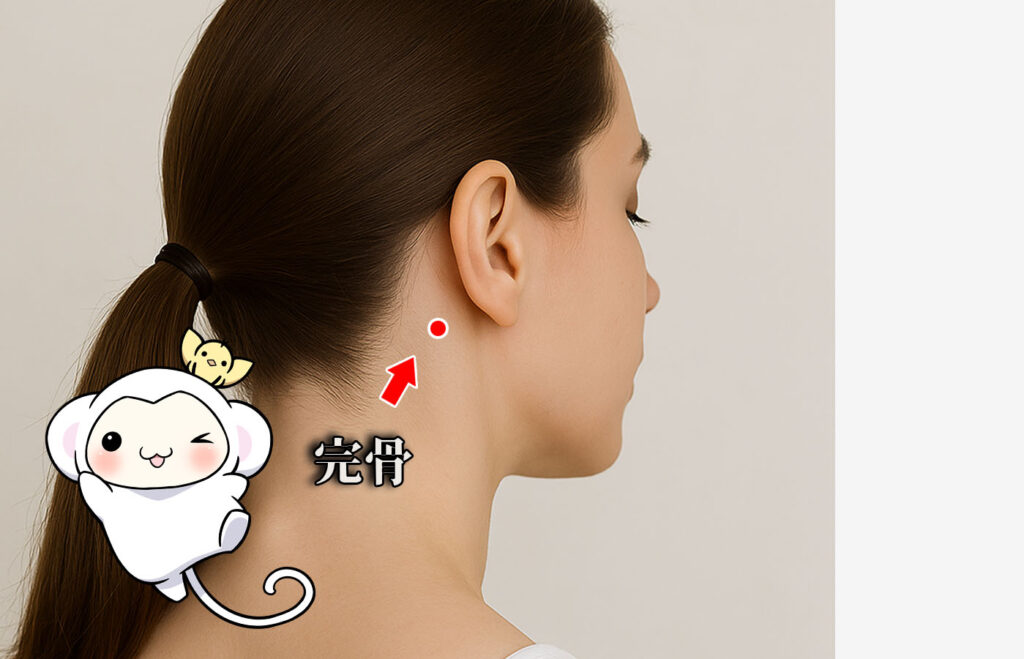 ツボ・完骨の場所